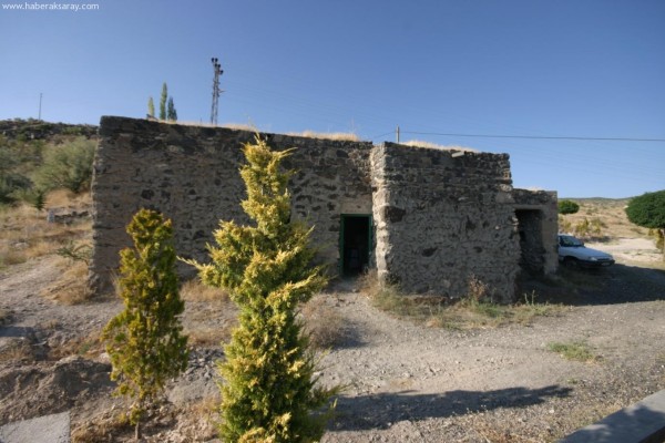 ze7image007