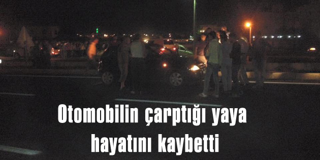 aksaray-otomobilin-carptigi-yaya-hayatini-kaybetti