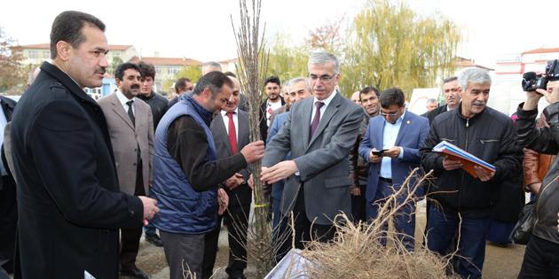 Çiftçilere 7 bin 80 adet meyve fidanı dağıtıldı