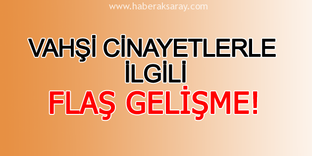 Vahşi cinayetlerle ilgili 1 şüpheli gözaltına alındı