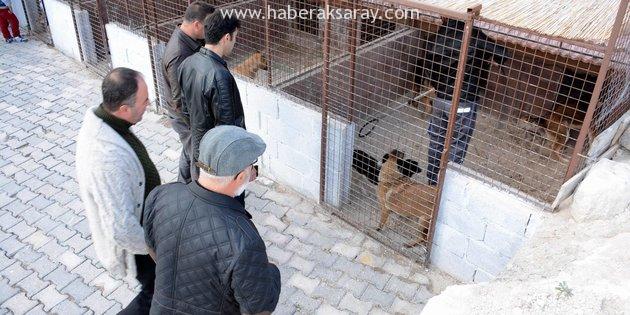 AKHAYKOR’dan Ürgüp ve Avanos hayvan barınaklarına tam not