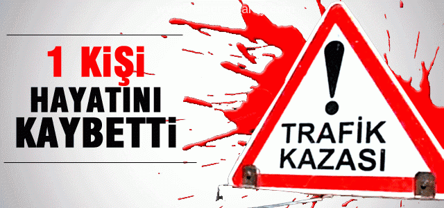Otomobilin çarptığı gazeteci hayatını kaybetti