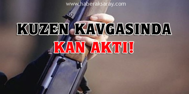 Kuzen kavgasında kan aktı!