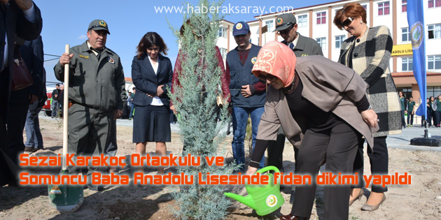 Okul bahçelerine fidan dikimi yapıldı