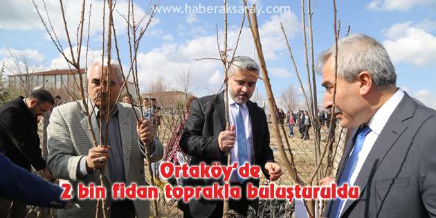 Ortaköy’de 2 bin fidan toprakla buluşturuldu