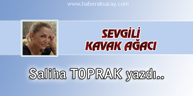 Sevgili Kavak Ağacı