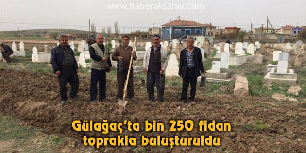 Gülağaç’ta bin 250 fidan toprakla buluşturuldu
