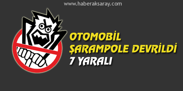 Otomobil şarampole devrildi: 7 yaralı
