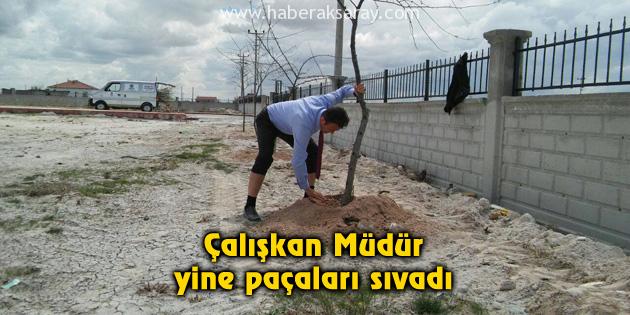 Çalışkan Müdür yine paçaları sıvadı