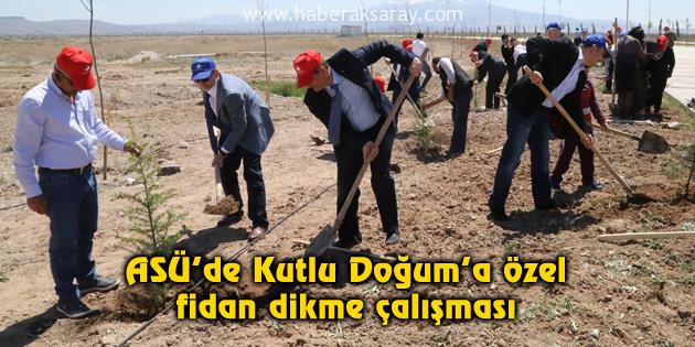 ASÜ’de Kutlu Doğum’a özel fidan dikme çalışması