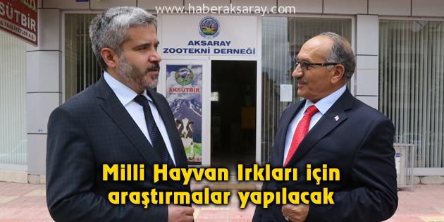 Milli Hayvan Irkları için araştırmalar yapılacak