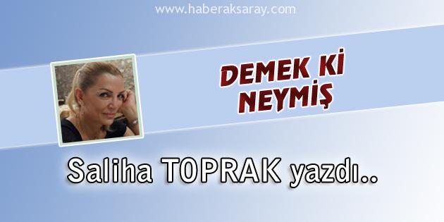 Demek Ki Neymiş