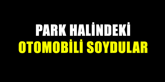 Park halindeki otomobili soydular