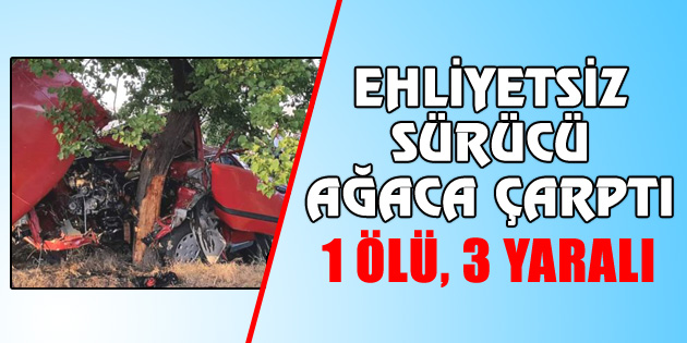Ehliyetsiz sürücü ağaca çarptı: 1 ölü, 3 yaralı