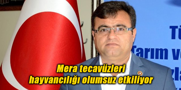 Mera tecavüzleri hayvancılığı olumsuz etkiliyor