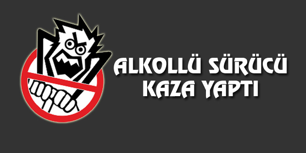 Alkollü sürücü kaza yaptı