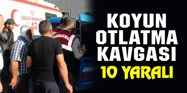 Çiftçi ve çobanlar birbirine girdi: 10 yaralı