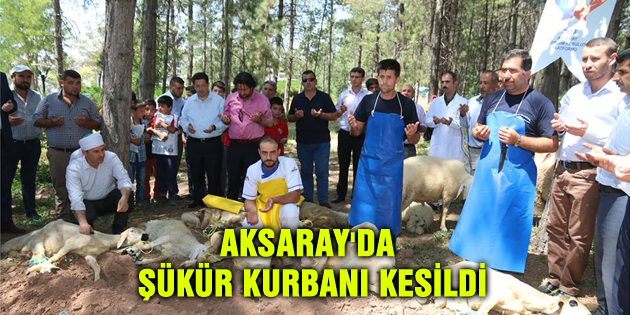 Belediye ve sivil toplum örgütleri şükür kurbanı kesti