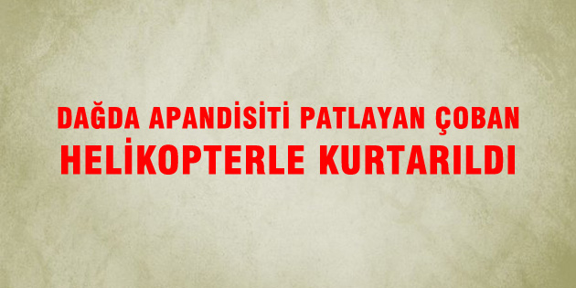Dağda apandisiti patlayan çoban helikopterle kurtarıldı