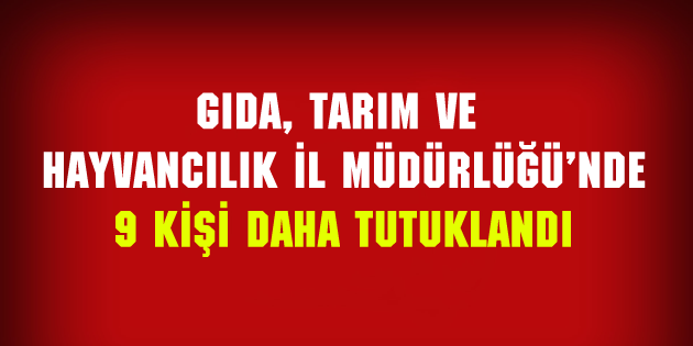 9 kişi daha tutuklandı