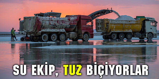 Su ekip tuz biçiyorlar