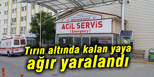 Tırın altında kalan yaya ağır yaralandı
