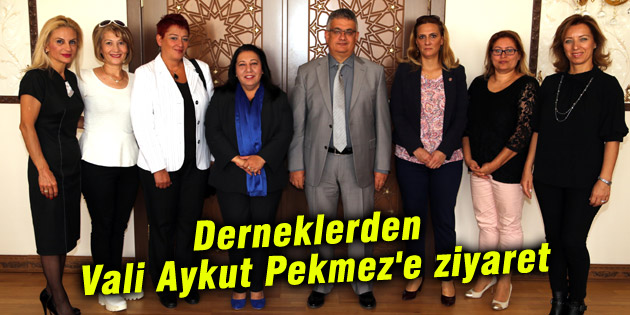 Derneklerden Vali Aykut Pekmez’e ziyaret