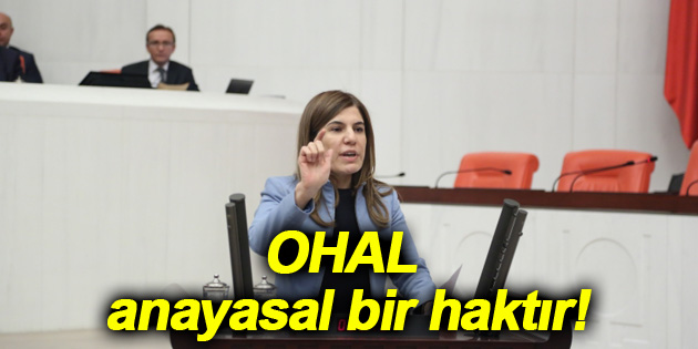 İlknur İnceöz: OHAL anayasal bir haktır!