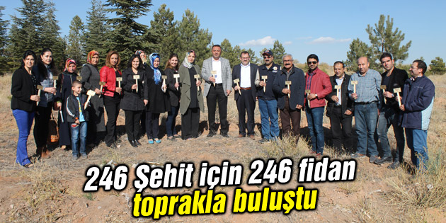 246 Şehit için 246 fidan toprakla buluştu
