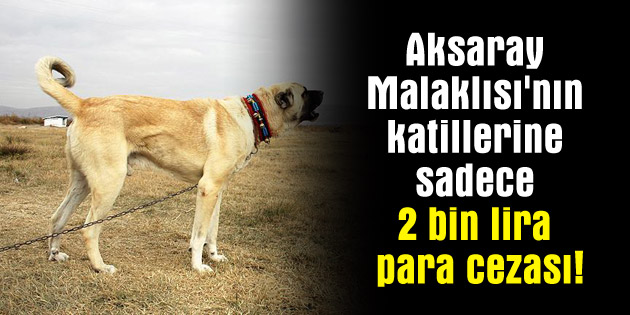 Aksaray Malaklısı’nın katillerine sadece 2 bin lira para cezası!
