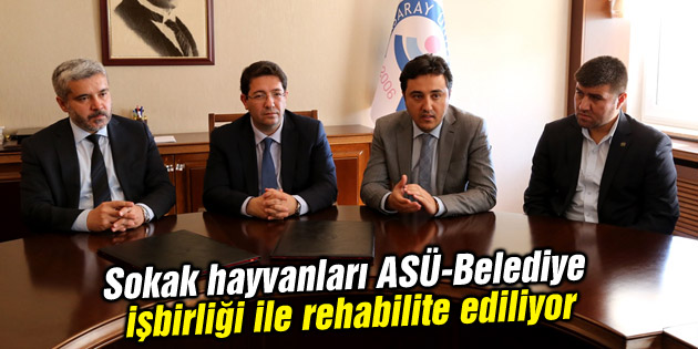 Sokak hayvanları ASÜ-Belediye işbirliği ile rehabilite ediliyor