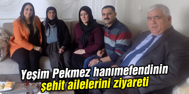 Vali Pekmez’in eşi şehit ailelerini ziyarete devam ediyor