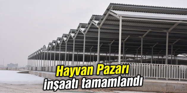 Hayvan Pazarı inşaatı tamamlandı