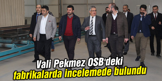Vali Pekmez OSB’deki fabrikalarda incelemede bulundu