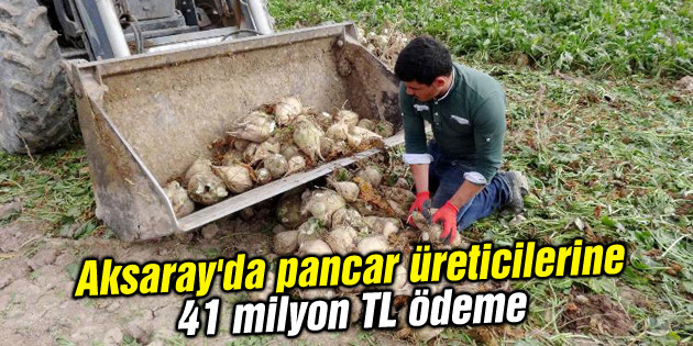 Aksaray’da pancar üreticilerine 41 milyon TL ödeme