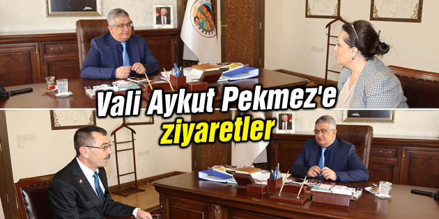 Vali Aykut Pekmez’e ziyaretler