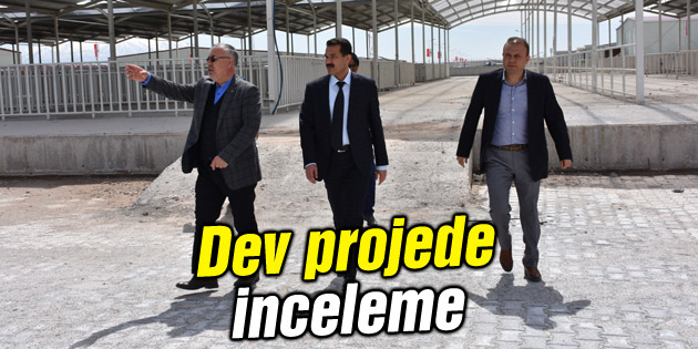 Dev projede inceleme