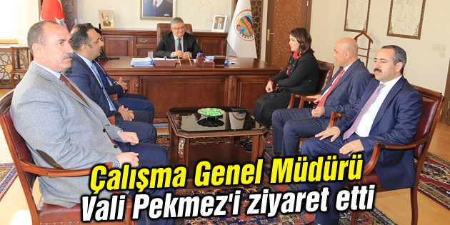 Çalışma Genel Müdürü Nurcan Önder Vali Pekmez’i ziyaret etti
