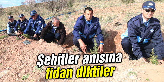 Zabıtalar, Şehitler anısına fidan dikti
