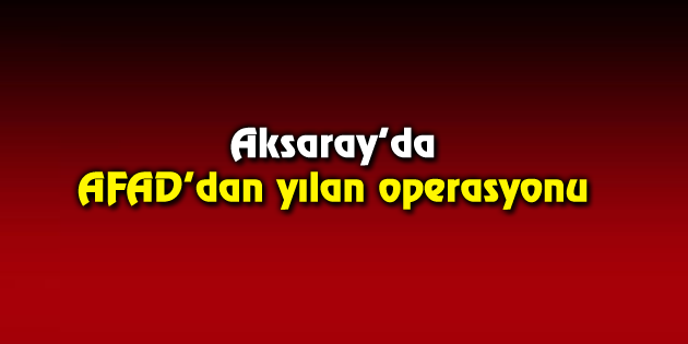 AFAD’dan yılan operasyonu