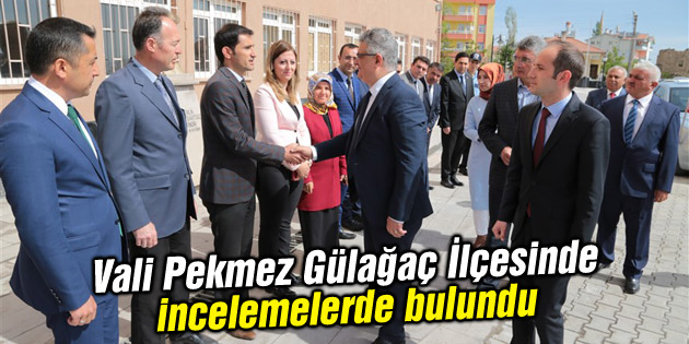 Vali Pekmez Gülağaç İlçesinde incelemelerde bulundu