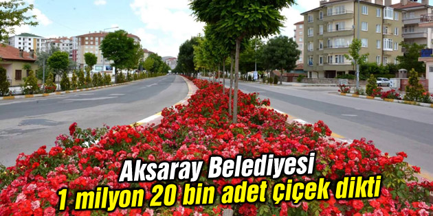 Aksaray Belediyesi 1 milyon 20 bin adet çiçek dikti