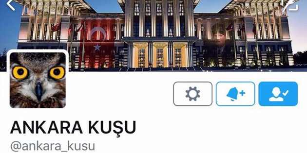 Ankara Kuşu: İlknur İnceöz bu dönem ara verecek!