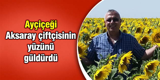 Ayçiçeği Aksaray çiftçisinin yüzünü güldürdü