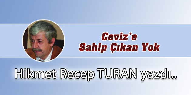 Ceviz’e Sahip Çıkan Yok