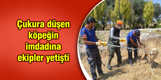 Çukura düşen köpeğin imdadına ekipler yetişti