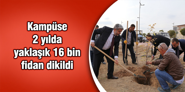 Kampüse 2 yılda yaklaşık 16 bin fidan dikildi