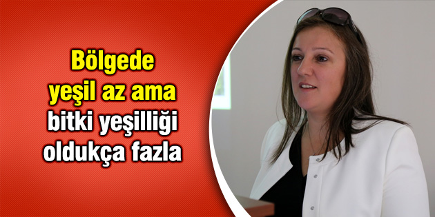 Bölgede yeşil az ama bitki yeşilliği oldukça fazla
