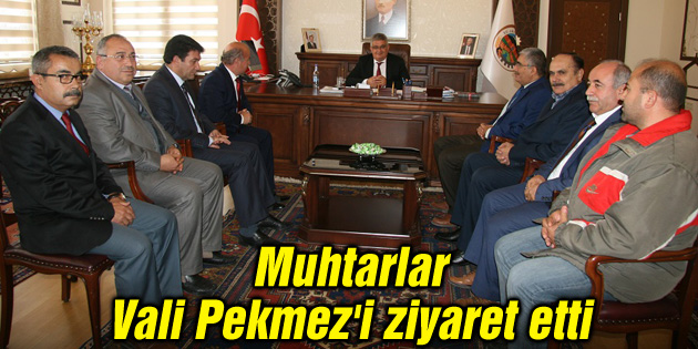 Muhtarlar Vali Pekmez’i ziyaret etti