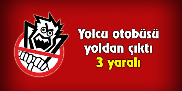Yolcu otobüsü yoldan çıktı: 3 yaralı
